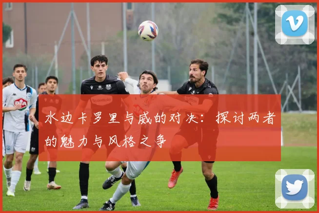 水边卡罗里与威的对决：探讨两者的魅力与风格之争