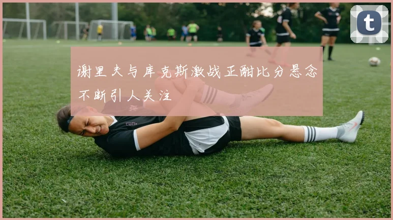 谢里夫与库克斯激战正酣比分悬念不断引人关注