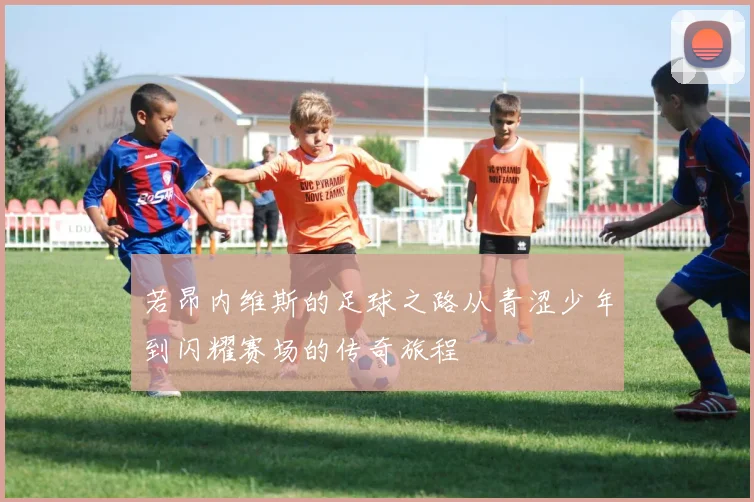 若昂内维斯的足球之路从青涩少年到闪耀赛场的传奇旅程