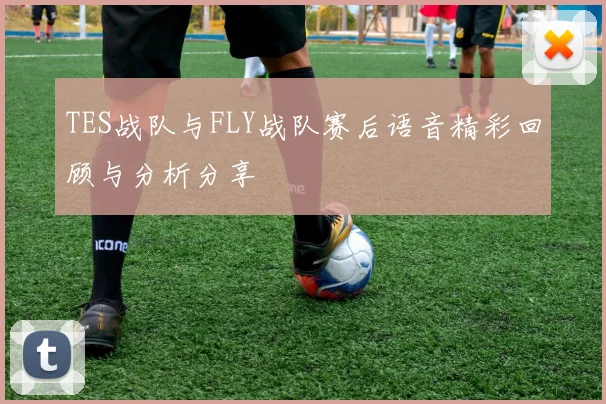 TES战队与FLY战队赛后语音精彩回顾与分析分享